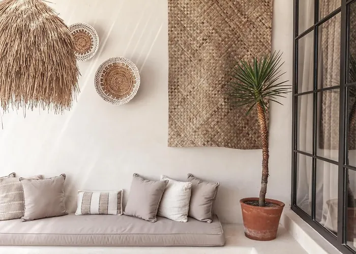 Yucca *