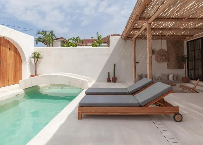 Yucca * Canggu