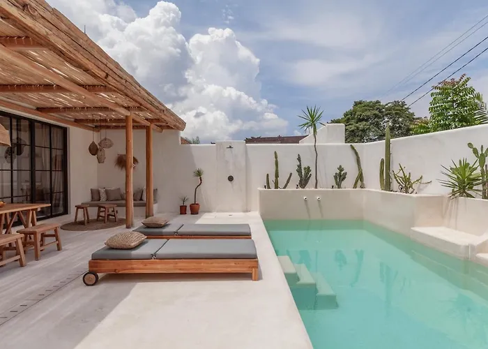 Yucca * Canggu