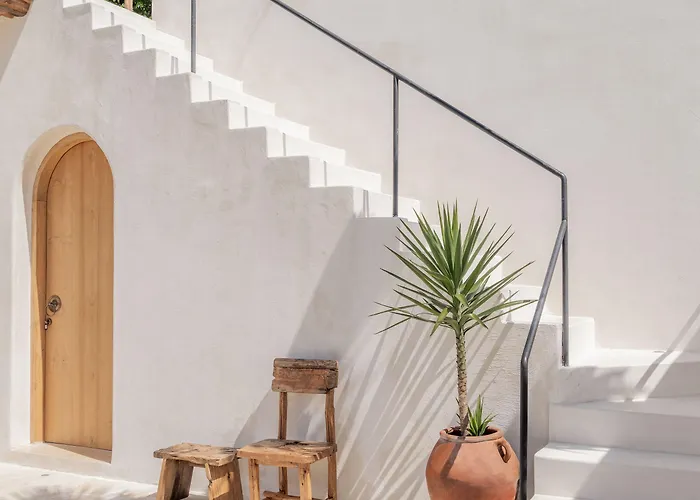 Yucca Canggu
